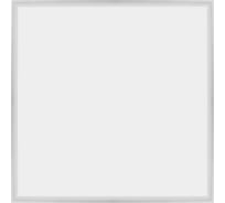 Светодиодный универсальный светильник REV, ДВО01-40-4К 595x595, 40W, 6500К, 3400Лм, 56001 2