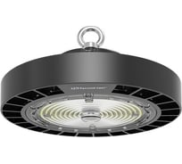 Светильник ДСП Русский Свет IB 10 S 100W VW 850 BK LED Highbay D257xH111мм 100Вт 5000К IP65 подвес черный 16091023044