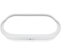 Светодиодный светильник LEEK Герметичный ЖКХ LE LED OBL WH 15W овал 10 LE061100-0021