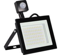 Светодиодный (LED) прожектор Smartbuy FL Sensor Pro 50W/6500K/IP65 SBL-EFLPIR-50-65