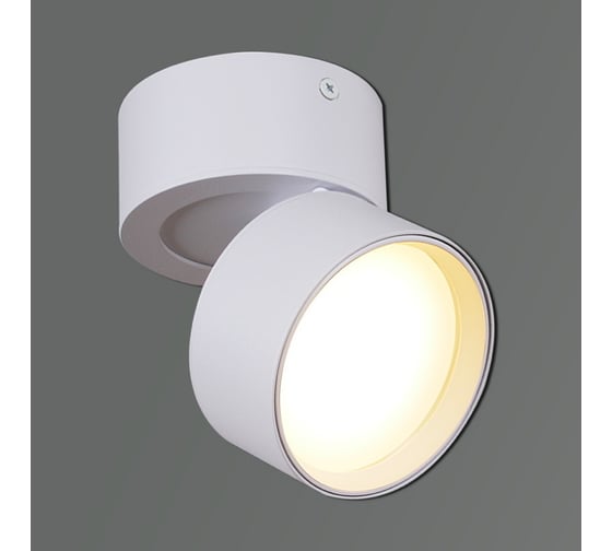 Накладной точечный светильник Reluce 53168-9.5-001MZ GX53 WT 1