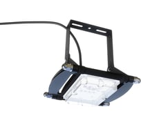 Светильник ALB ДСП 29-40-014 D4 F2879