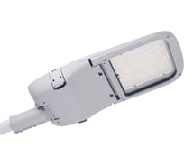 Светильник уличный ALB ДКУ 28-100-205 L F3142