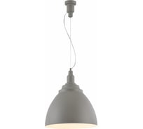 Подвесной светильник Maytoni Bellevue P535PL-01GR