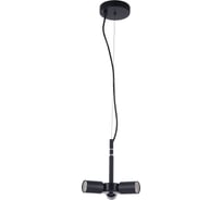 Подвесной светильник Maytoni Toronto MOD974-PLBase-03-Black