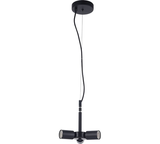 Подвесной светильник Maytoni Toronto MOD974-PLBase-03-Black 1