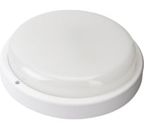 Светильник ЖКХ GAUSS Elementary 24W 1950lm 4000K 160-260V IP65 D210х52мм белый LED 1/20 126411224