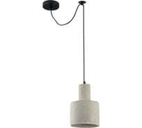 Подвесной светильник Maytoni Broni T439-PL-01-GR