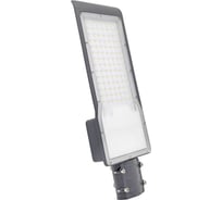 Уличный светильник Gauss LED Avenue IP65 420х160х57 100W 10000lm 5000K 190-250V КСС Д 629536300