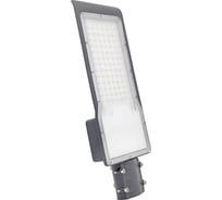 Уличный светильник Gauss LED Avenue IP65 420х160х57 100W 10000lm 5000K 190-250V КСС Ш 629534300