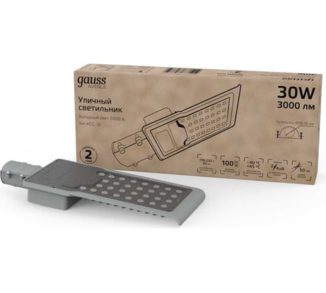 Уличный консольный светодиодный светильник Gauss IP65 30W 3000lm 5000K КСС "Ш" 629534330