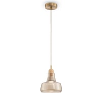 Подвесной светильник Maytoni Ola P015PL-01BS