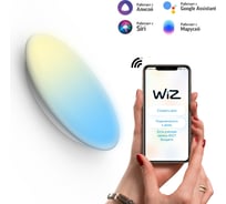 Светодиодный стационарный накладной светильник Gauss, Smart Home тип CCT+DIM 2060112