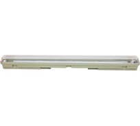 Линейный светильник Gauss СПП-Т8-G13 220-230V IP65 660х70х61 для LED ламп 1x600 909410160