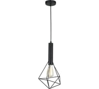 Подвесной светильник Maytoni Spider T021-01-B