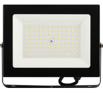 Прожектор светодиодный уличный ЭРА PRO LPR062065K070 70Вт 6500К 7000лм IP65 призма Б0064667