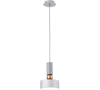 Подвесной светильник Maytoni Void MOD030PL-01GR