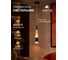 Подвесной светильник ARTE LAMP SABIK A6576SP-1BK 4