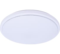 Управляемый светодиодный светильник MAXLIGHT Decor 203 72W, 3000-6500К, Φ500 ММ 00-00001039