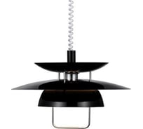 Подвесной светильник IMPERIUMLOFT Byron Black 73904-22