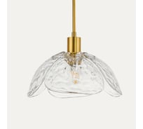 Подвесной светильник IMPERIUMLOFT FLEUR A Прозрачный 178124-26