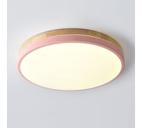 Потолочный светильник IMPERIUMLOFT DISC DH D48 Pink 189905-26