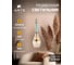 Подвесной светильник ARTE LAMP CORAL A2405SP-9BR 3
