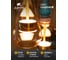 Подвесной светильник ARTE LAMP CORAL A2405SP-9BR 5