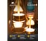 Подвесной светильник ARTE LAMP CORAL A2405SP-9PK 5