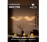 Подвесной светильник ARTE LAMP FIORITA A2093SP-2GO 4