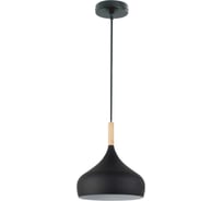 Светильник подвесной MAXLIGHT CAST 1001 BLACK, 1*E27, черный 00-00001217