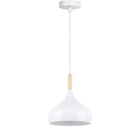 Светильник подвесной MAXLIGHT CAST 1001 WHITE, 1*E27, белый 00-00001216