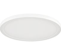 Потолочный светильник СОНЕКС LED 24W NEBULA 7754/24L