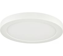 Потолочный светильник СОНЕКС LED 12W NEBULA 7754/12L