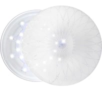 Светильник светодиодный, настенно-потолочный MAXLIGHT Decor 167 30W 6000K 00-00001314