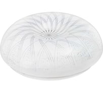 Светильник светодиодный, настенно-потолочный MAXLIGHT Decor 183 20W 6000K 00-00001316