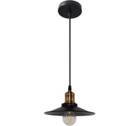 Светильник подвесной MAXLIGHT CAST 1023, длина провода 1м, диаметр плафона 220мм, 1* E27 00-00001263