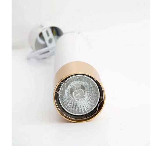 Светильник потолочный MAXLIGHT CAST 113 WHITE алюминиевое литье, круглый, GU10, белый, ø55x250мм 00-00001178