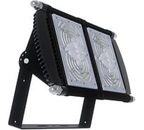 Прожектор ALB ДО 29-100-565 М G1776