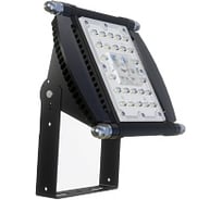 Прожектор ALB ДО 29-50-563 М F4663