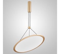 Подвесной светильник IMPERIUMLOFT VIVERT D60 Brass 232168-23