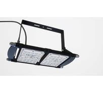 Светильник ALB ДСП 29-80-013 D4 F2862