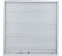 Светильник SVET ДПО/ДВО 10-4х8-002 призма УХЛ4 6500К, 595х595х19 SV0117-0002