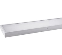 Светильник WOLTA PRO LED Лайнер 36Вт IP54 4100лм 4000К Матовый ДПО03-36-101-4К