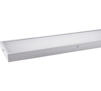 Светильник WOLTA PRO LED Лайнер 54Вт IP54 6000лм 6500К Матовый ДПО03-54-101-6К