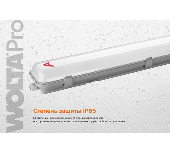 Светильник Wolta PRO УльтраПРОМ с БАП Матовый EM1 ДСП04-54-041-5К