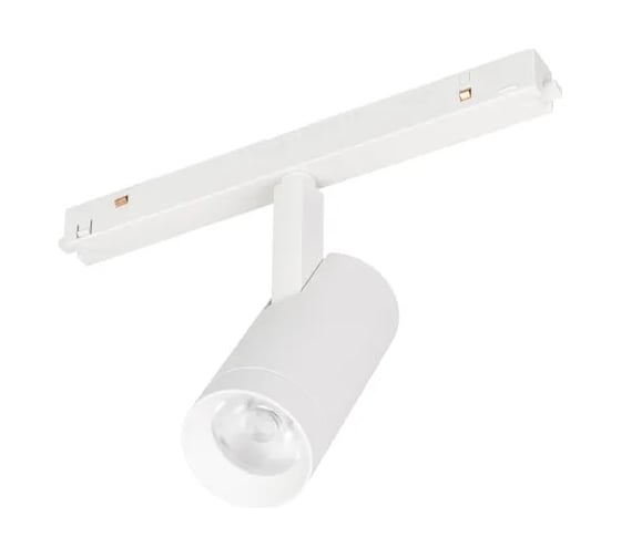 Светильник Arlight MAG-ORIENT-SPOT-R45-12W Warm2700 1 шт. 053719 1