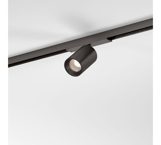Трековый поворотный светильник Elektrostandard Titan Line 10W 3000K 85525/01 титан a069710 1