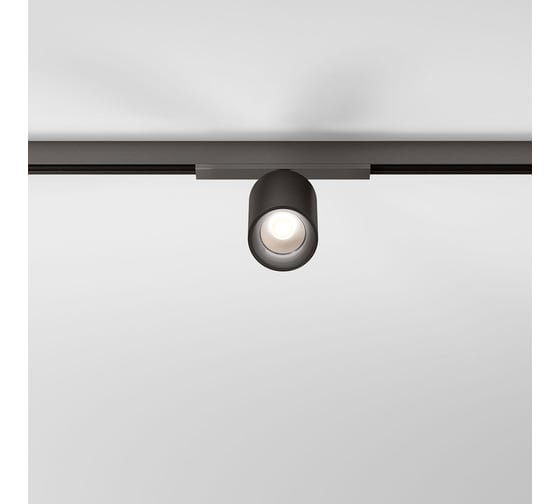 Трековый поворотный светильник Elektrostandard Titan Line 10W 3000K 85525/01 титан a069710