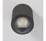 Светильник потолочный светодиодный Elektrostandard Primo 12W 4000K 25116/LED титан a069415 3